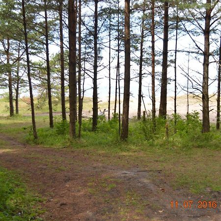 Kempings Videnieki Liepene Exterior foto